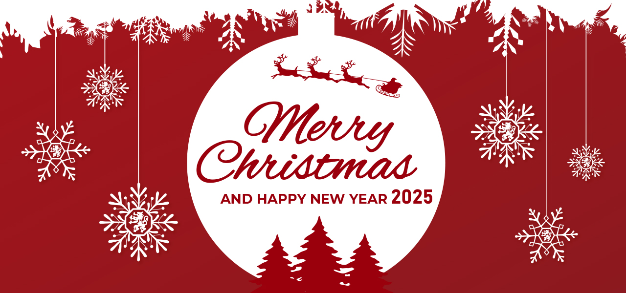 Merry Christmas & Happy New Year 2025